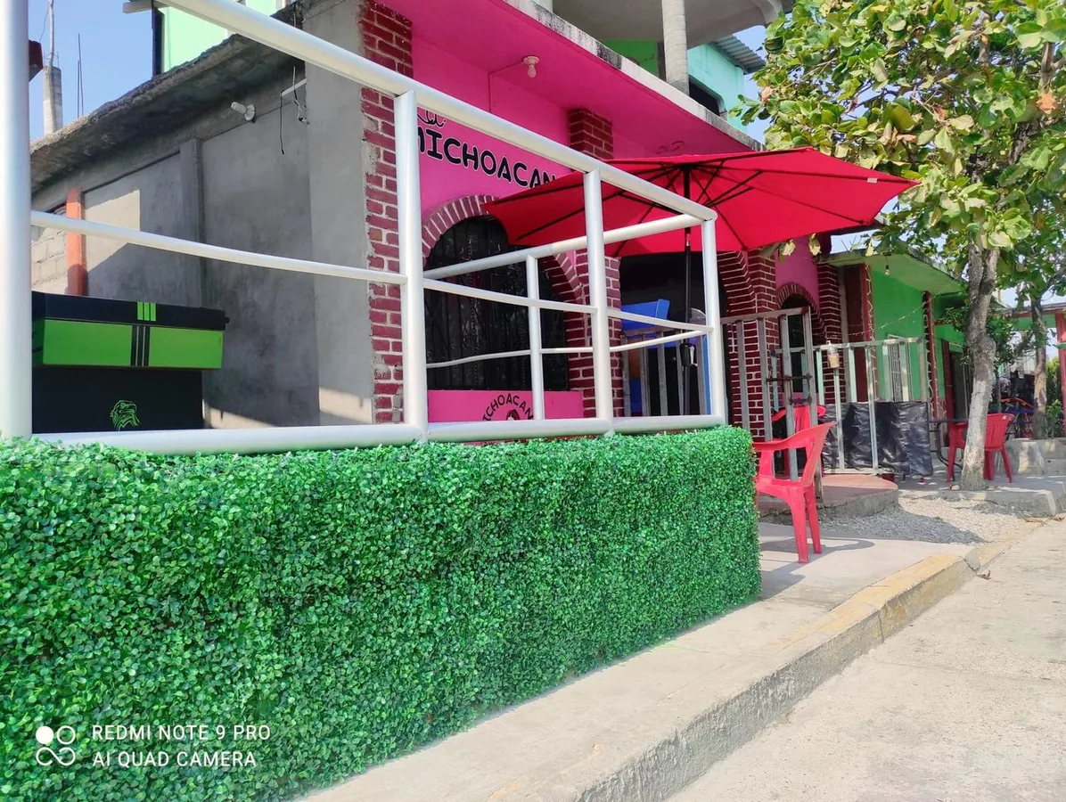 Fachada exterior de La Michoacana San Dionisio del Mar Oaxaca con jardinera verde — heladería artesanal del Istmo de Tehuantepec