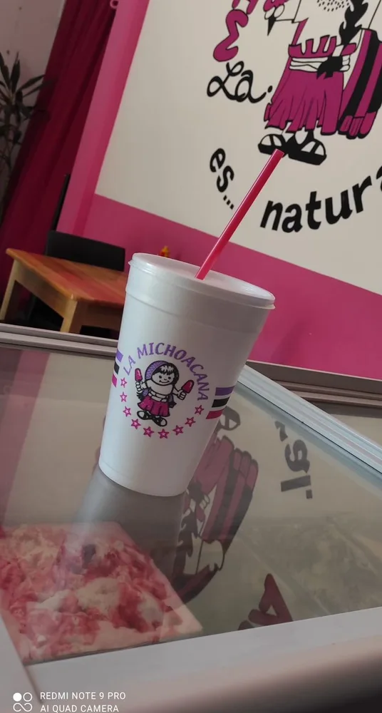 Aguas frescas artesanales de La Michoacana San Dionisio del Mar — horchata de nuez y coco, maracuyá, guanábana y piña colada del Istmo de Tehuantepec Oaxaca